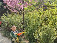 -金玉满堂酒店(西四环店)