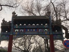 -北京国子监胡同