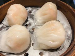 -高第街56号餐厅(银座商城玉函店)