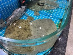 -渔码头食府(蓬莱阁店)