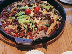 -老板恋上鱼(恒隆广场店)