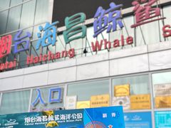 -烟台海昌鲸鲨海洋公园