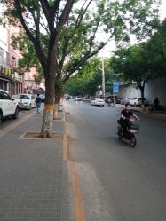 -时尚码头