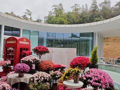 -云溪植物园