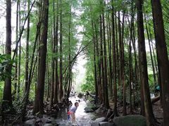 -马峦山郊野公园
