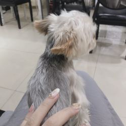 -LEILEI NAIL蕾蕾美甲美睫