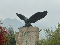 -北京鹫峰国家森林公园