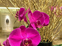android_upload_pic-炳胜公馆(珠江新城店)