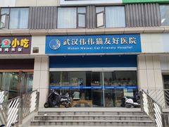 -伟伟宠物医院·瑞派猫友好医院·猫科(光谷店)