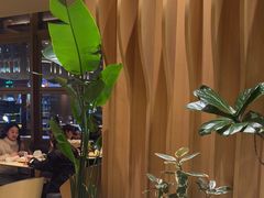 -Bco豆库(星耀天地店)