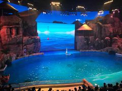 -芜湖新华联大白鲸海洋公园