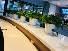 -肯德基(华徐店)