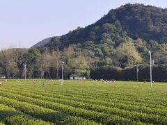 -自在弥林花园餐厅(云栖店)