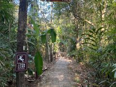 -海南热带雨林国家公园吊罗山景区
