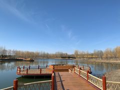 -东郊湿地公园