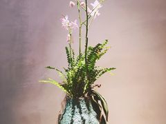 -时光花园(白鹭洲店)