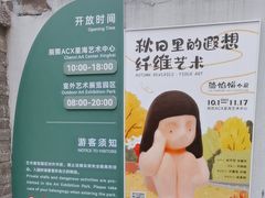 -辰熙ACX星海艺术中心