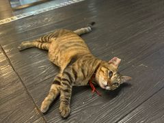 -叁 Three· bistro餐酒馆