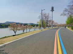 -羊山湖公园