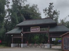 -大京沙滩