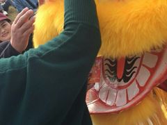 -天适樱花悠乐园