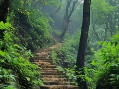 -莫干山风景区