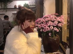 -Apollo·西班牙小酒馆(安福路店)