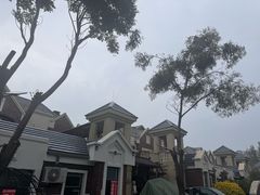 -观澜小洱海