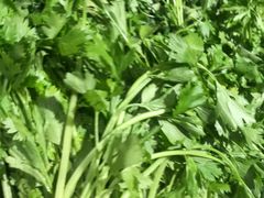 芹菜-西北农副产品中心批发市场(广安路店)
