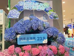 -盒马鲜生(岭南新世界店)