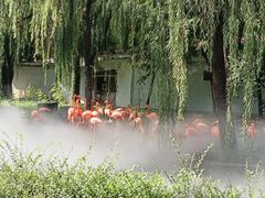 -石家庄市动物园