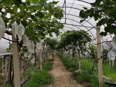 -美家乐农庄·露营·团建(大治路店)