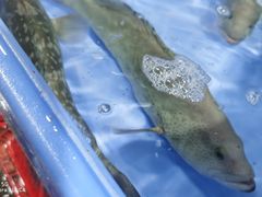 -布吉农产品批发市场