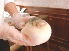 -肆月河豚·新淮扬(金融街店)