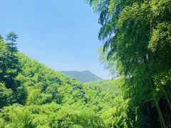 -藏龙百瀑风景区