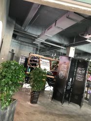 -蚂蚁造型沙龙
