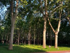 -河南省黄河迎宾馆