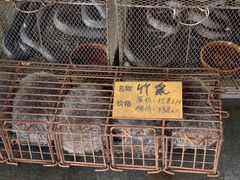 -大门水乡·顺德菜