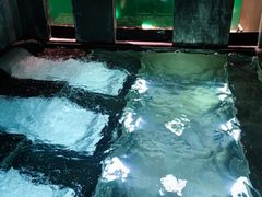 -丽思卡尔顿酒店泳池(金融街店)