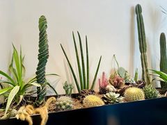 -J Create城市露营咖啡·简餐·宠物(上海动物园店)