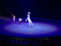 -珠海横琴长隆《卡卡虎奇遇记》