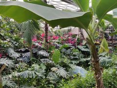 -呀路古热带植物园