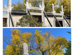 -苏州碑刻博物馆