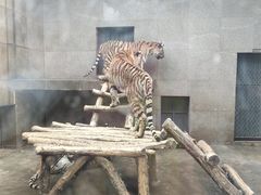 -西安秦岭野生动物园