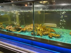 -海天盛宴海鲜自助(正大广场店)