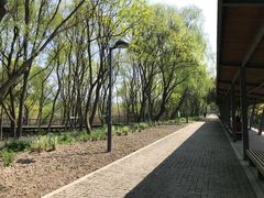 -西湖风景区-江洋畈生态公园