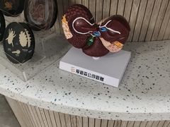 -半岛宠物医院24小时(白果林店)