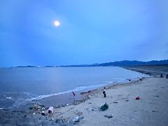 -北岐滩涂