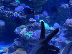 -太平洋海底世界