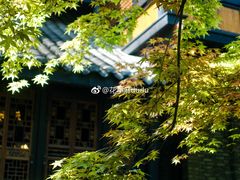 -鱼桥巷·美学川菜